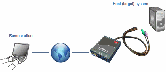 IP KVM remote management